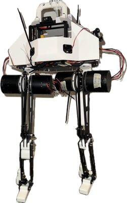 Mini humanoid, assembled
